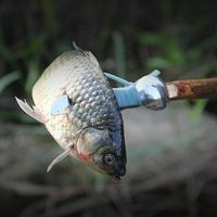 Nouvel ensemble de couverts de camping 7 en 1, couteau, sifflet, scie, ouvre-bouteille, lame, corde, cuillère, multi-outils de survie en plein air