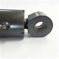 Cylindres hydrauliques à double action de haute qualité fabriqués en usine avec placage au chrome dur, acier, garantie 1 an
