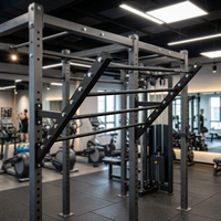 Barre de traction murale en acier robuste pour usage commercial, fixation pour équipement de musculation, échelle de gymnastique type aile de singe
