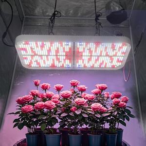 Luces LED de Cultivo de Alta Potencia (500W-1000W) para Invernaderos, Ideales para Rosas, con Espectro Azul/Rojo/Blanco, al Mejor Precio - Product Image 3