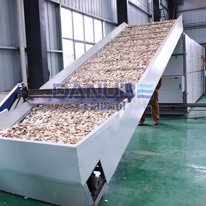 Machine de séchage à bande maillée pour oignons à économie d'énergie continue, équipement de séchage à bande maillée pour oignons - Product Image 4