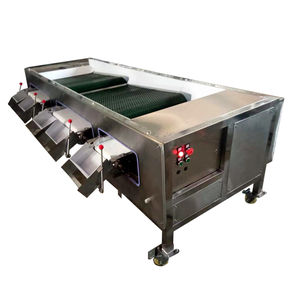 <span class=keywords><strong>3</strong></span> 학년 4 학년 신선한 과일 블루 베리 정렬 프로세스 라인 2 학년 새로운 블루 베리 정렬 기계 - Product Image 2