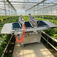 Machine à semer automatique pour pépinière, haute efficacité, pour divers plateaux de semis, usage commercial