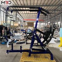 Máquina de Polea Lateral Independiente con Carga de Discos para Entrenamiento de Fuerza de Brazos y Espalda, Equipo de Entrenamiento de Fuerza de Tensión Alta