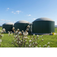Digesteur anaérobie domestique automatique pour la conversion du fumier animal en biogaz, facile à utiliser