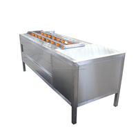 Automatische Aardappelui Gemberwortel Schillen En Wasmachines Voor De Reinigingsmachine Voor De Productie Van Fruit En Groenten
