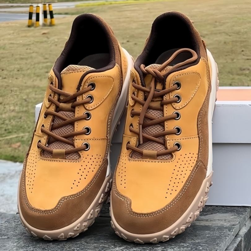 สีน้ำตาล