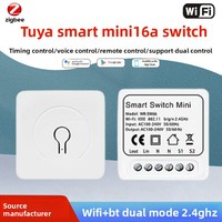 Pour Tuya Mini Smart Switch 16A Rail Smart Home Disjoncteur Relais Durable PC Matériel Étanche 16A Max. Courant 240V Max.