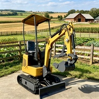 Remises Fabricant Mini-Excavatrice 0,8 Tonne sur Chenilles pour Ferme et Jardin, Micro-Pelle Entièrement Hydraulique, Haute Qualité, Diesel, Petite Excavatrice