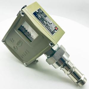 Interrupteur d'eau antidéflagrant HERLON D511/7D 851581 EX IP54 en laiton, raccord G1/4, 0,016-0,16 bar, Shanghai - Product Image 1