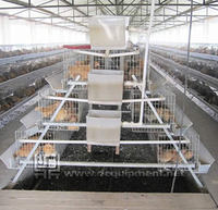 Cage à poules industrielle à 4 niveaux de type A galvanisée à chaud