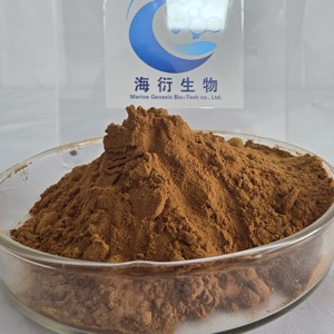 天然オーガニック野生葛根エキス粉末 15%プエラリン 非遺伝子組み換え プレミアム品質 ヴィーガン健康食品グレード 熱風乾燥 - Product Image 1