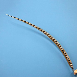 Hot Bán Tự Nhiên Ringneck Lông Đuôi Số Lượng Lớn Gà lôi Lông 110-120 Cm Cho Lễ Hội Mũ sắt Trang Phục Bay Câu Cá Fly Buộc - Product Image 1