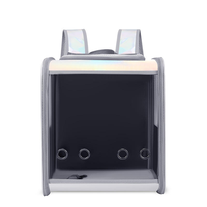 มีสีสัน