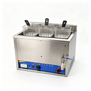 Friteuse à gaz thermostatée professionnelle 25L en acier inoxydable avec panier pour poulet frit, frites et snack-bars - Product Image 6