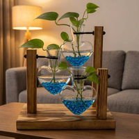 Vase en verre LED en gros, pot hydroponique de table avec couvercle en liège, station de propagation de plantes, vase à fleurs de bureau avec base en bois