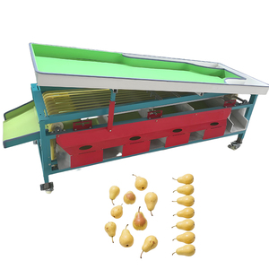 Machine de tri de tomates multifonctionnelle neuve, machine de tri de légumes neuve, fabriquée en Chine - Product Image 2