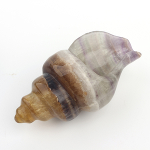 Escultura de Concha Tallada a Mano, Cristal de Fluorita Natural, Conchas Marinas, Figura Decorativa de 6 Pulgadas, Ecológica, Feng Shui - Product Image 3