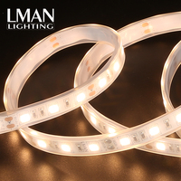 Éclairage de décoration intérieur/extérieur, pliable, étanche IP65, DC 12V 24V, 60 LED/m, bande LED SMD 5050