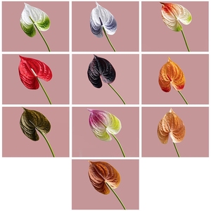 Piante di Anthurium <span class=keywords><strong>B</strong></span>-99 in PU Effetto Naturale, Fiori Artificiali all'Ingrosso per Decorazioni da Tavola - Product Image 2
