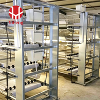Cage à poulets de chair de type H, cage en batterie pour poulets de chair, 3 niveaux, avec plancher à lattes en plastique, alimentation et abreuvement automatiques, et système de collecte des excréments. Vente en gros.