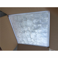 Dalle de mosaïque en coquille de Capiz naturelle de style moderne DTH STONE pour la décoration intérieure, les meubles DIY, les murs et le parquet – Qualité supérieure