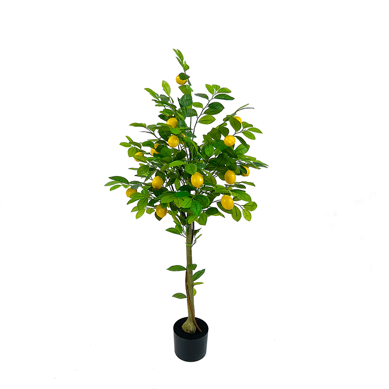 120 cm - 2