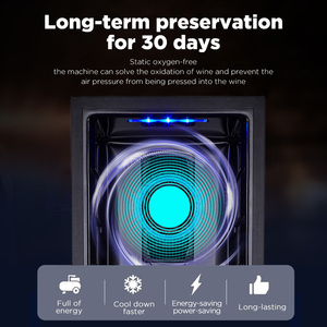 <span class=keywords><strong>Dispensador</strong></span> <span class=keywords><strong>de</strong></span> <span class=keywords><strong>Vino</strong></span> VANACE con Pantalla Táctil LED Empotrada, <span class=keywords><strong>Dispensador</strong></span> <span class=keywords><strong>de</strong></span> <span class=keywords><strong>Vino</strong></span> Inteligente Rojo para 2 Botellas - Product Image 6