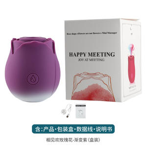 Vibrador Magnético Sucção Rosa 2025 10 Funções, Brinquedos Sexuais, Massageador de Clitóris e Seios, Vibrador Rosa - Product Image 4