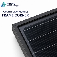 Module solaire monocristallin bifacial 660W, performance stable sous intensité lumineuse variable, projets solaires mixtes sur réseau