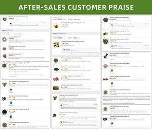 传统名优东方美妆乌龙茶 - Product Image 5