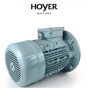 Motores Hoyer IE3 de 220/380/415/440/660 V, 45 kW, 75 kW, 90 kW, 1000 RPM, Motor de Inducción Trifásico, IP55 TEFC, 50/60 Hz - Product Image 1