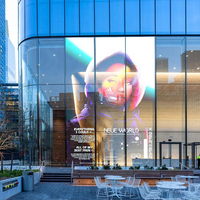 Écran LED Lionled P5 5mm OEM personnalisable, couleur pleine, 3840Hz, façade média intérieure, haute transparence, pour vitrine de magasin