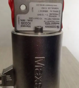 Original Y013AA1H1BS072 con Puerto NPT Barato - Product Image 5