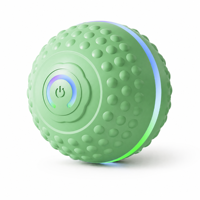 Balle électrique interactive pour animaux de compagnie, résistante aux morsures, pour chien et chat, pour le jeu quotidien
