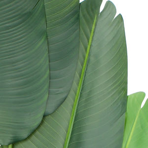 طائر صناعي 6 قدم من نبات الجنة مع وعاء بلاستيكي هدية ديكور للأماكن الداخلية والخارجية - Product Image 3