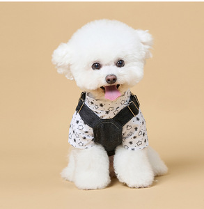 Bestseller Transfrontaliero Estivo per il Ritorno a Scuola: Grazioso Vestito per Cani e Gatti in Denim a Quadri Stile Thai e Britannico - Product Image 2