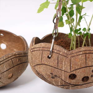 Ensemble de bols pour plantes, coquille de noix de <span class=keywords><strong>coco</strong></span> et de coquille de noix de <span class=keywords><strong>coco</strong></span>, pot de fleur - Product Image 4