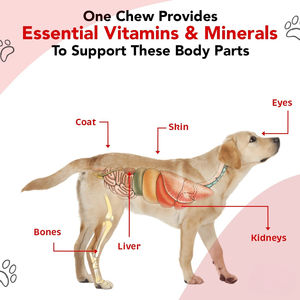 Logo del marchio personalizzato vitamine integratori di allevamento di cani promuovere la resistenza Stud integratore di fertilità per cani - Product Image 4