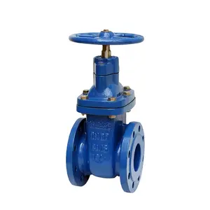 DIN3352 F4 / F5 (DN40-DN1500) Ductile Iron Metal Seated Gate Valve