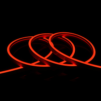 Bande néon LED numérique personnalisée 0612 1212 1010 SPI RVB effet polychrome DC24V IP67 lumière néon LED en silicone pour eau courante