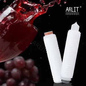 0.1 0.22 Micron Absolute Rating PES Folding Filter Cartridge For Wine And Beer