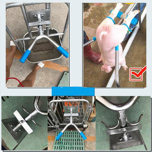 SS304เหล็กสแตนเลสตะขอคู่สำหรับหมูลูกหมูสัตวแพทย์ชั้นสำหรับตัดเย็บโต๊ะ - Product Image 6