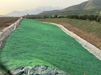 Géomate industrielle verte moderne 3D en HDPE pour la protection des pentes de barrages, tapis anti-érosion, géomate pour le drainage des pentes de routes et de barrages