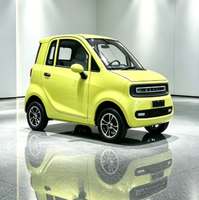 Voiture électrique compacte Green City de type L6e européenne, performances stables même sur les routes mouillées, dotée de systèmes de freinage à disque avant et arrière