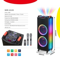 Altavoz de Karaoke NDR-1212S, Altavoces Grandes para Fiestas al Aire Libre, Altavoz con Micrófono y Bluetooth para el Hogar/Fiestas/Exterior