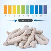 Coraux de sable osseux naturels écologiques pour la décoration d'aquariums en verre