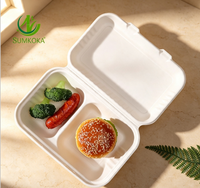 Contenants alimentaires en bagasse écologiques, résistants à la graisse et compatibles micro-ondes, boîtes à clapet en bagasse, boîtes à emporter jetables