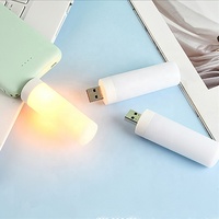 Mini lampe LED USB effet flamme pour la maison, la fête, le jardin, le Camping, la décoration d'halloween et de noël