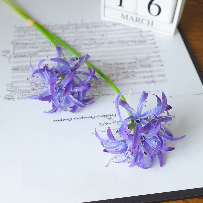 Orchidea viola